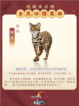 54天龙八部私服